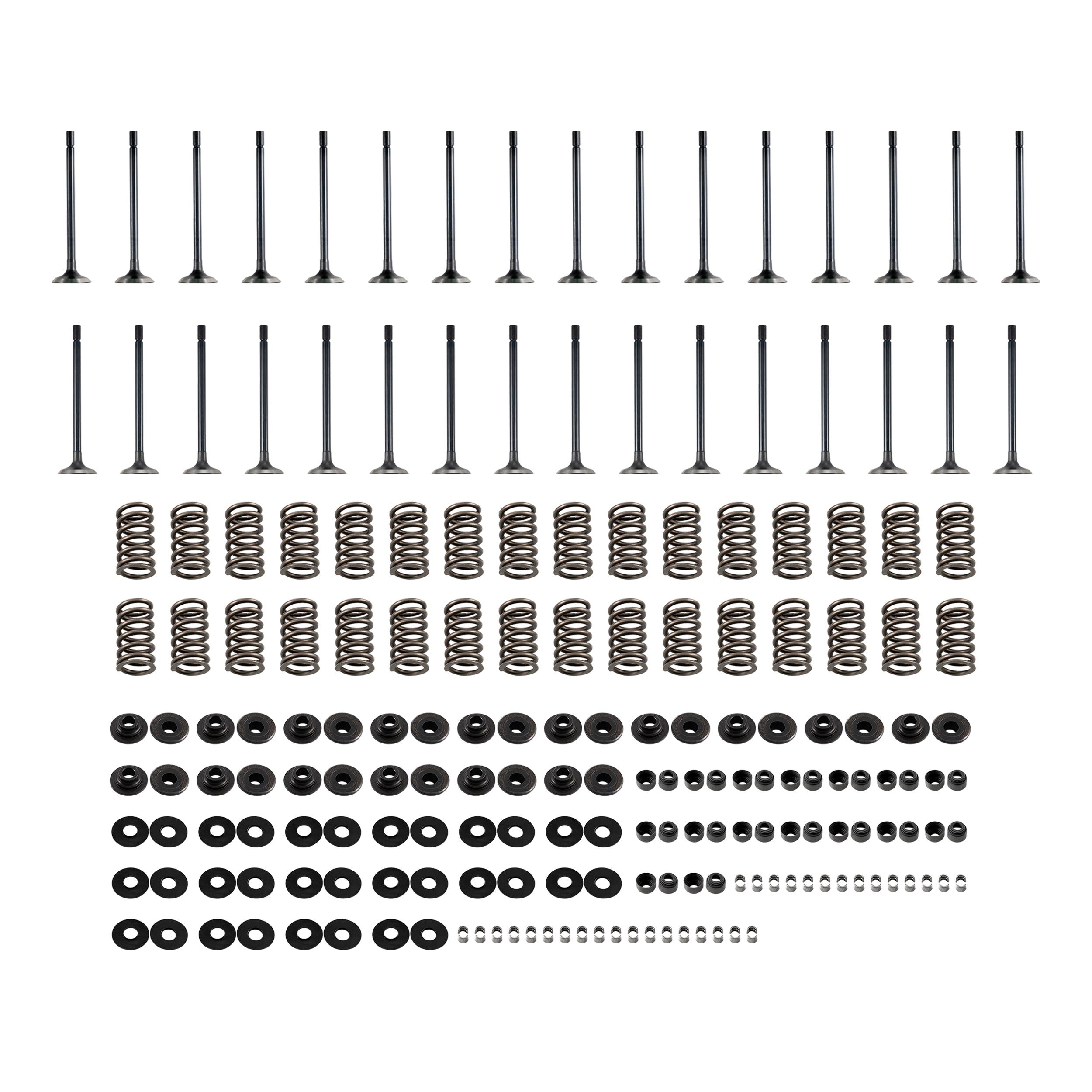 2001-2016 GM 6.6L Duramax Valve and Spring Kit