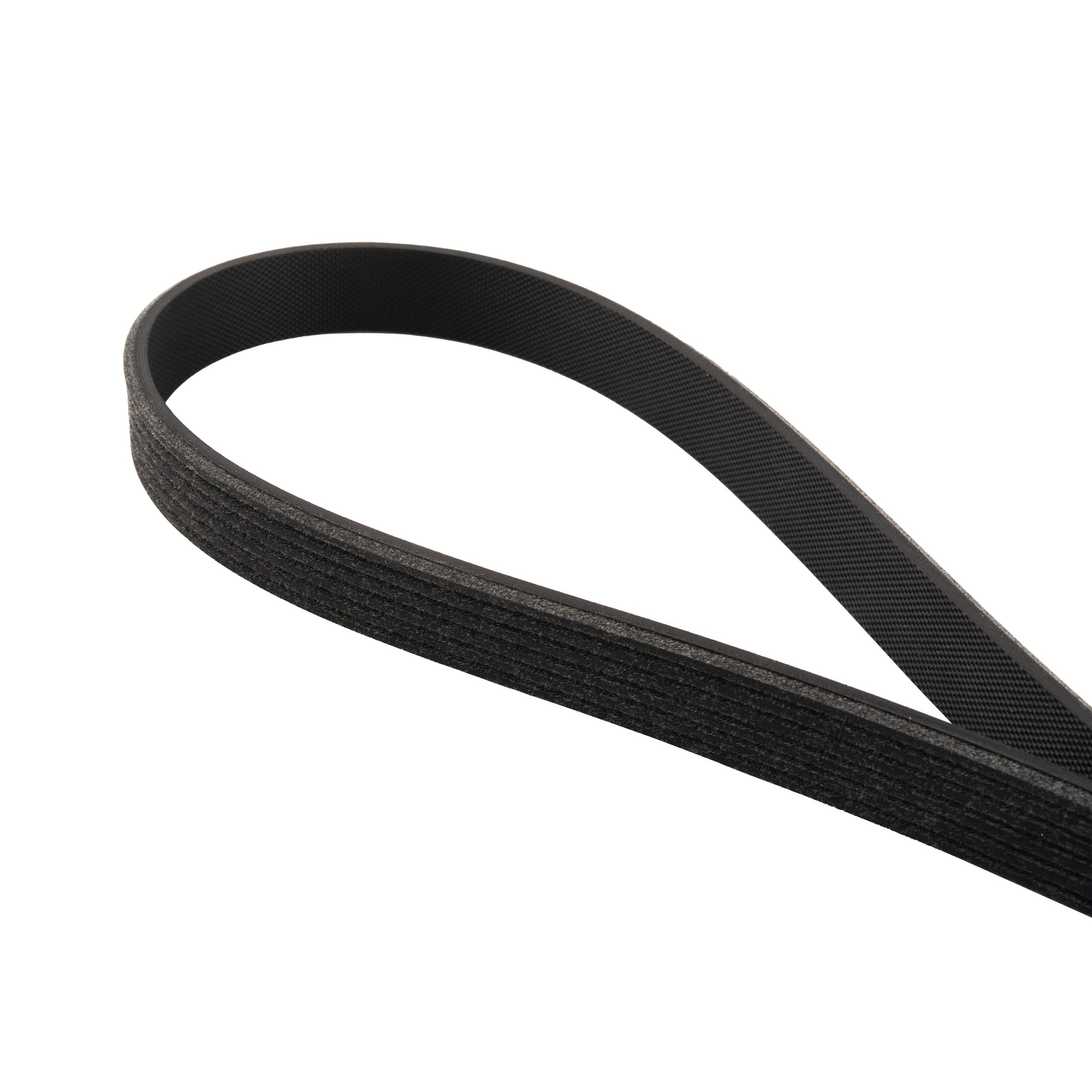 2013-2023 Ford Mustang 5.0L/5.2L High-Performance Heavy-Duty Serpentine Belt