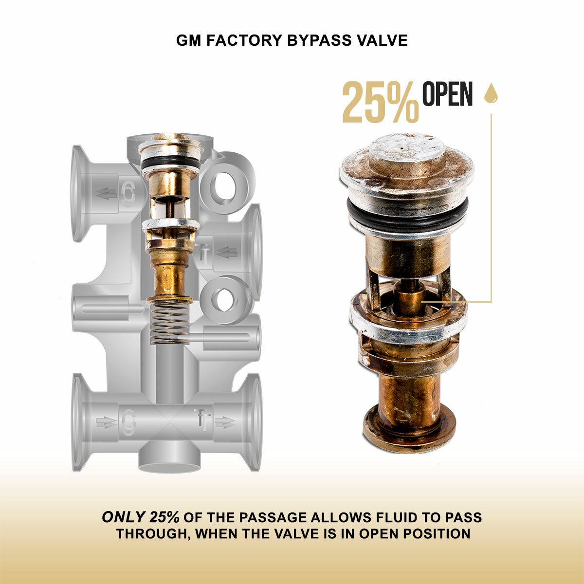 Transmission Fluid Thermal Bypass Valve (10L80)